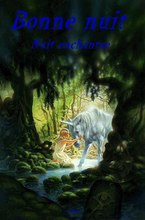 NUITEES FIXES